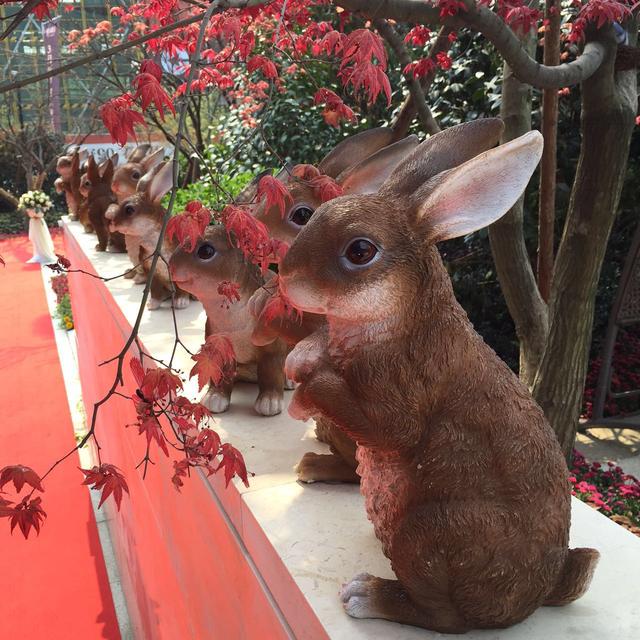 1460525154828451WDdW.jpg 9.jpg