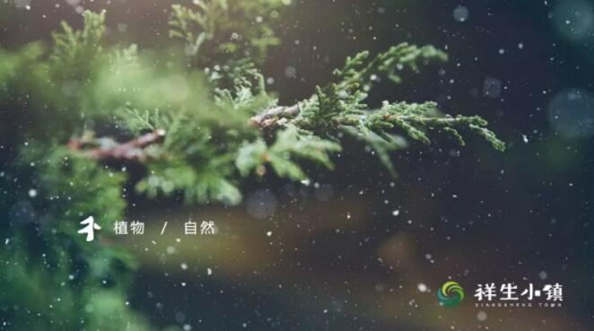 1535095900591932iS4B.jpg 1.jpg