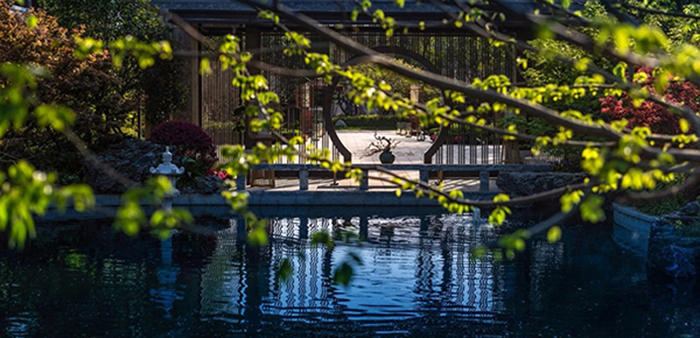 1536893699208276J9w8.jpg 3.jpg