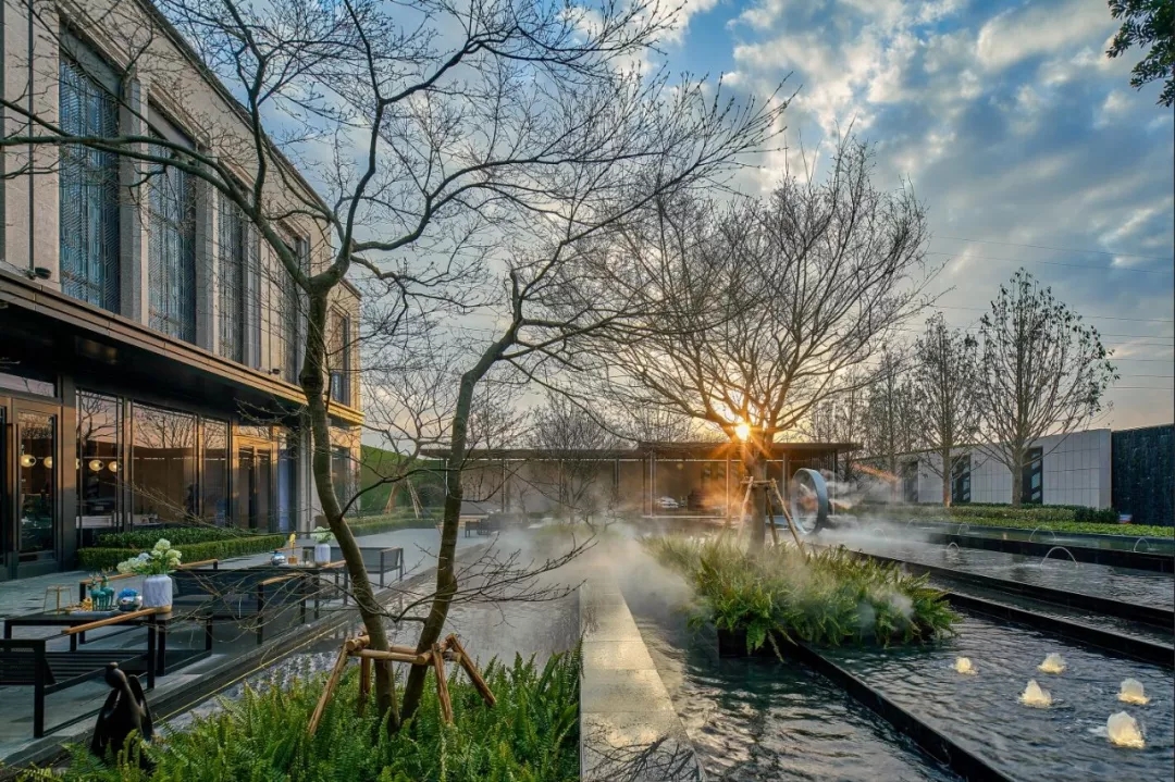 1553667160227211A6nZ.jpg 640.webp (2).jpg